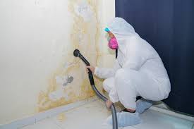 Best Mold Removal for HVAC Installations  in Hanley Hills, MO